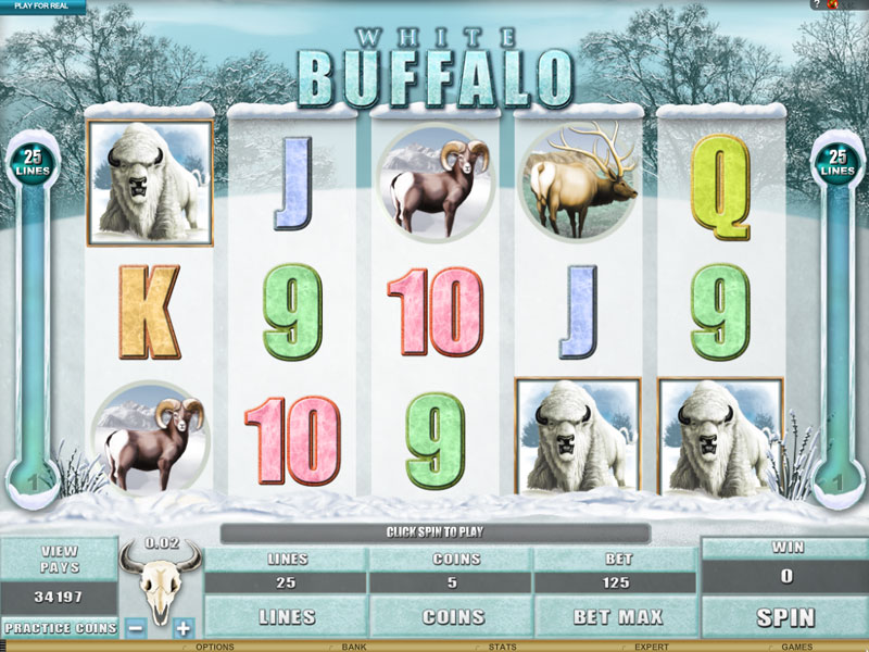 Настоящая охота со слотом «White Buffalo» — играйте на деньги в казино Вулкан